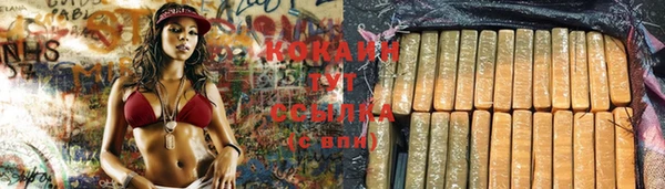 круглые Осинники