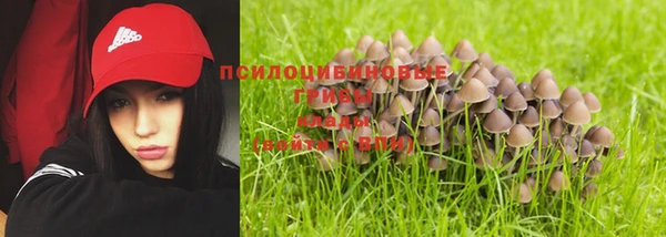 бошки Алексеевка