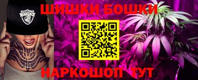 молекула духа Бердск