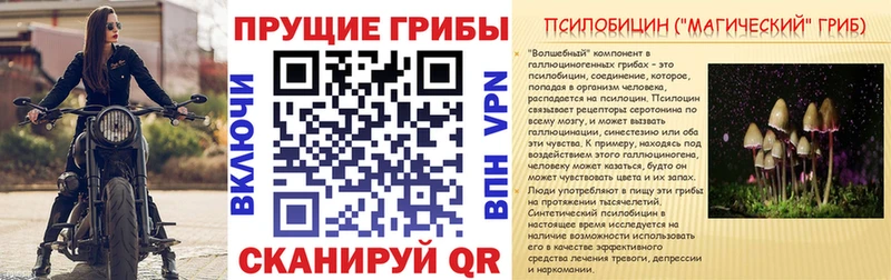 Галлюциногенные грибы прущие грибы  гидра вход  Бердск  где найти  