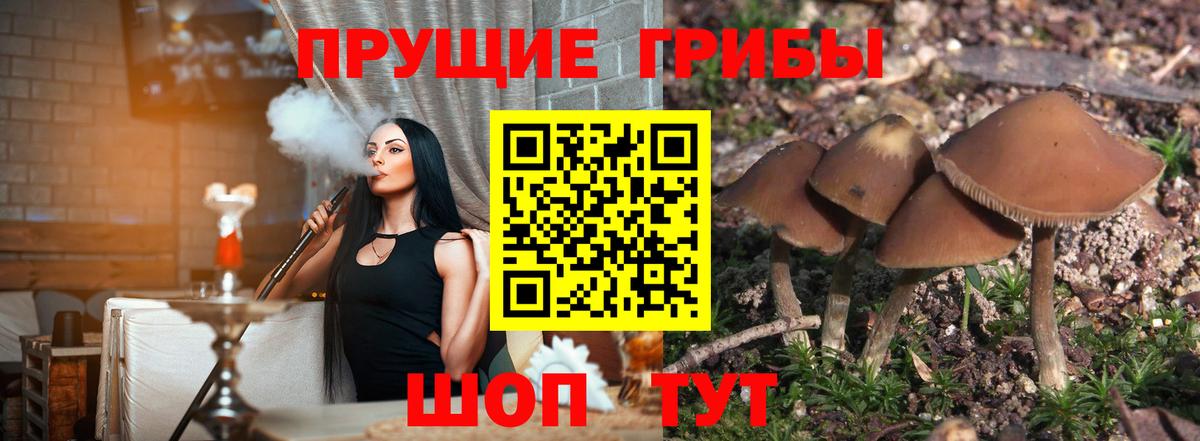Галлюциногенные грибы Magic Shrooms  Галлюциногенные грибы мухоморы  Бердск  Вход с VPN 